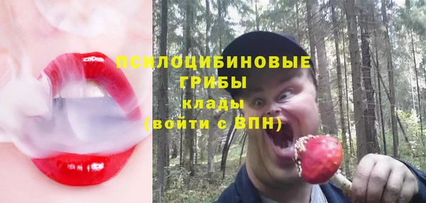 PSILOCYBIN Кодинск