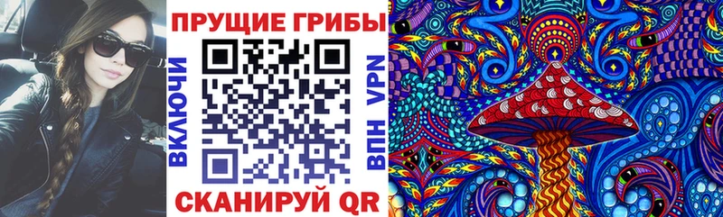 Купить  Петушки  Псилоцибиновые грибы Psilocybe 